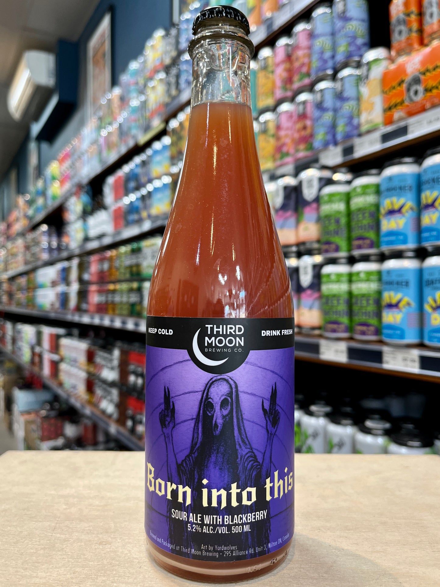 Third Moon Born Into This Blackberry Sour Ale 500ml