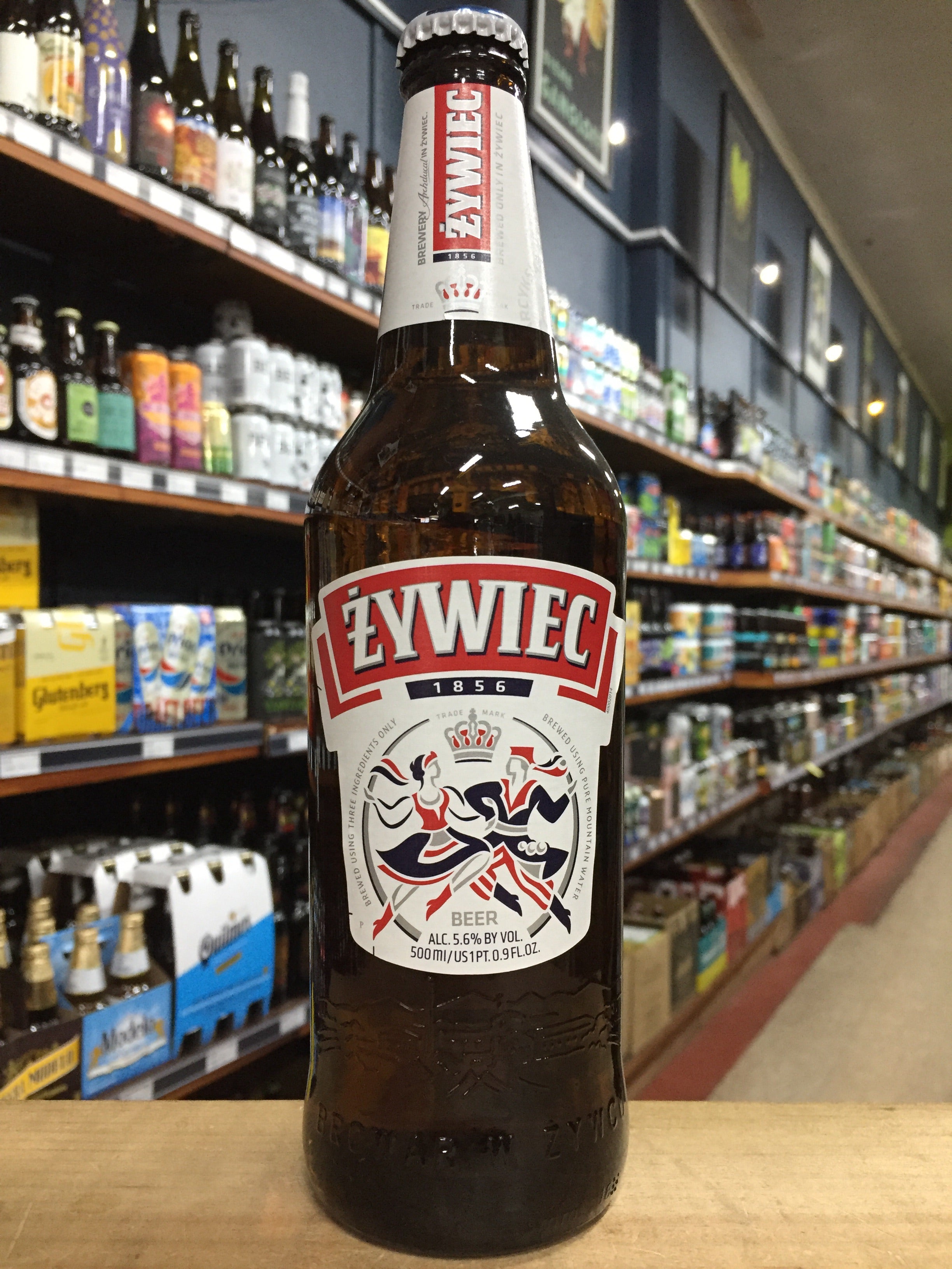 Zywiec Polish Lager 500ml - Purvis Beer